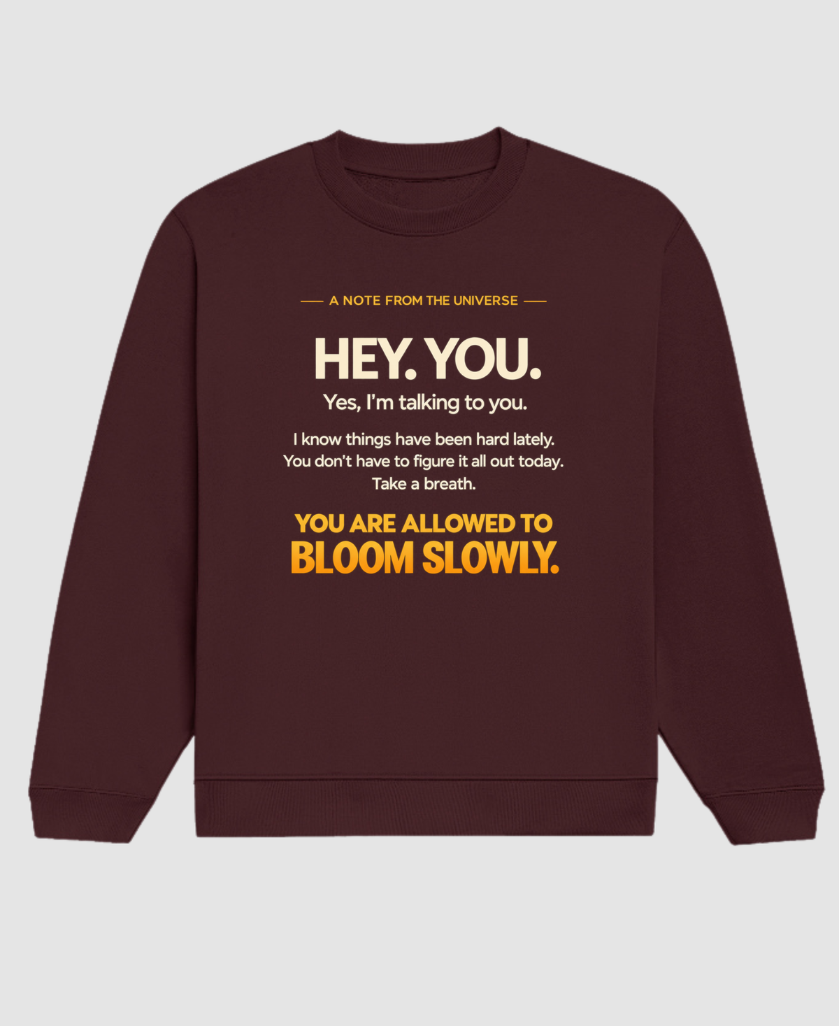 A Note from the Universe — Premium Unisex Sweatshirt |