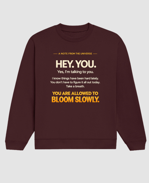 A Note from the Universe — Premium Unisex Sweatshirt |